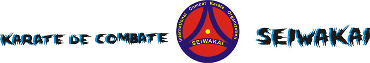 seiwakai-karate.ru